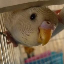 GraceFranklyn's profile picture. Я родился на свет не так давно, но уже начинаю кое-что понимать об этом мире