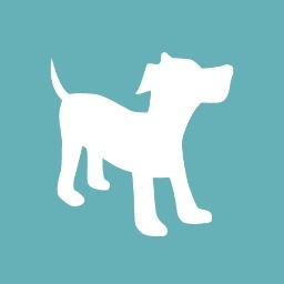 Dog Training, Daycare, Boarding & School for Dog Trainers. This is our life and our love.
