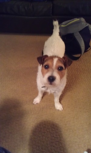 claire_penney's profile picture. r u lost? follow me