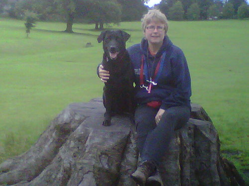 Self employed dog walker/dog trainer who loves dogs