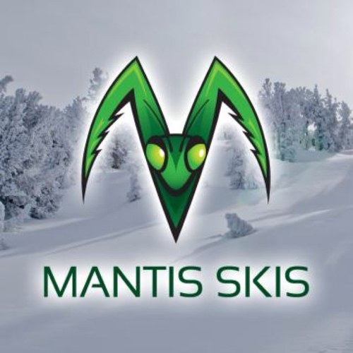 Artisan Twin Tip Freestyle Ski Manufacturer based in Maryland.