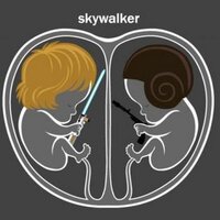 Luke y Leia (@lukeyleia) 's Twitter Profile