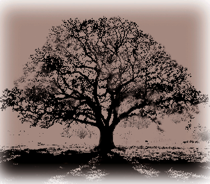 succcess's profile picture. Do you know the 3C's of Succcess? 

For two years the 3C's of Succcess has been the #1 Success ebook downloaded! And now 1/3 is FREE (no risk).