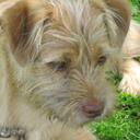 connie crosten - @binky609 - Twitter