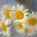 Amy Short - @Rugby_Girl_6 - Twitter