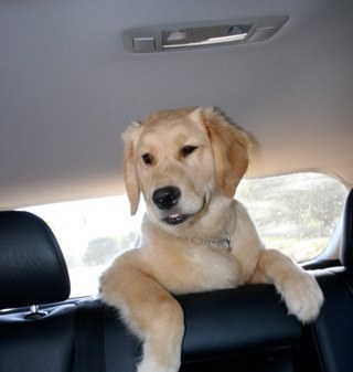 crackre's profile picture. 