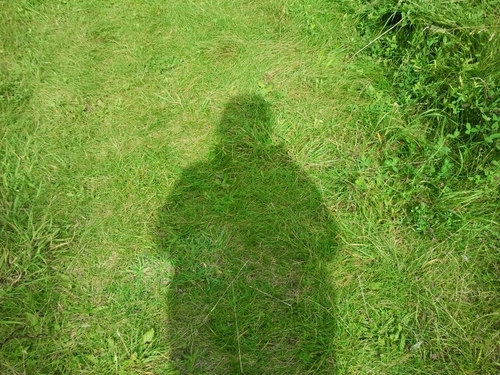 tatasapps's profile picture. 