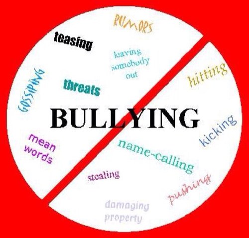 im the girl against bullying