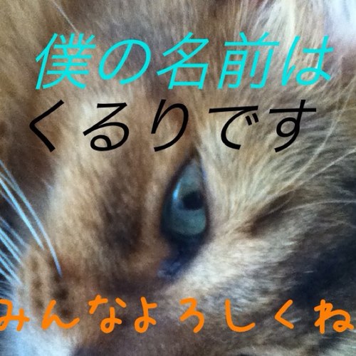 パズドラやってる人助けてください
IDは160371232ですお願いします