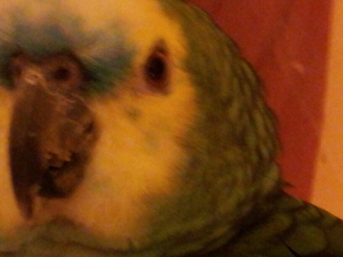 bzinkil's profile picture. 