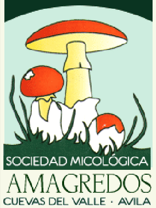 Amagredos_Av's profile picture. Cursos y jornadas micológicas con salidas guiadas, conferencias y exposiciones. Todo en el entorno natural de la sierra de Gredos.

📞643795384