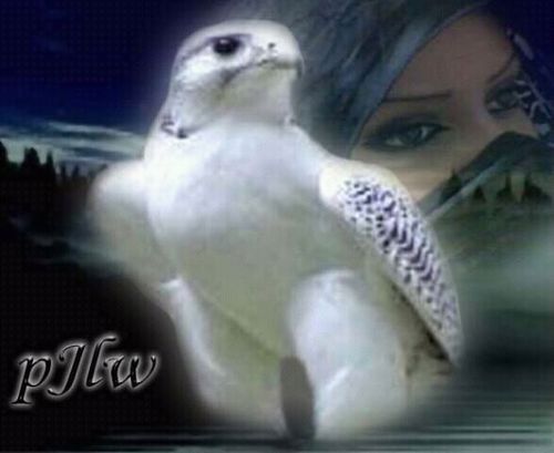 omadel2200's profile picture. 