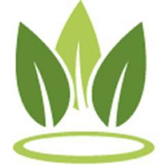 Shop for tea at our online store. High quality top grade loose tea.