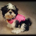 Dayna Hall - @DaynaHall - Twitter