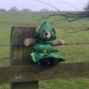 William bear - @thewilliambear - Twitter