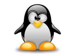 Costa Rica Linux
