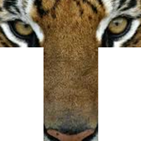 Tamanend MS (@cbtamanendms) 's Twitter Profile Photo Tamanend MS (@cbtamanendms) 's Twitter Profile Photo