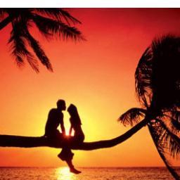 tweets over liefde en oorlog. nf=nfb always