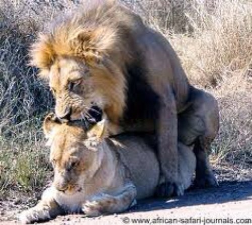 maximus2162's profile picture. 