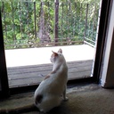 daniel karalus - @DanKaralus - Twitter