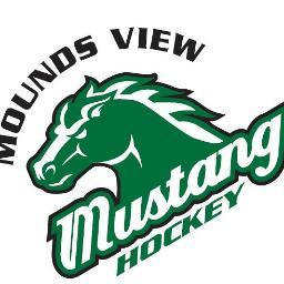 Your favorite Squirt hockey teams in the MVYHA.