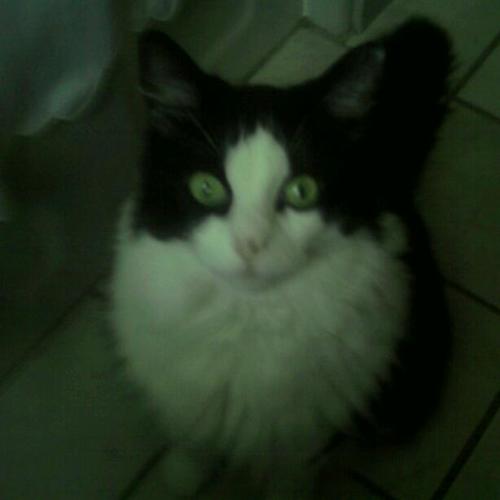 marydebruyn's profile picture. 