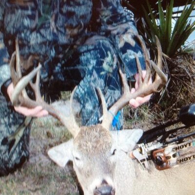 mikelchance's profile image
