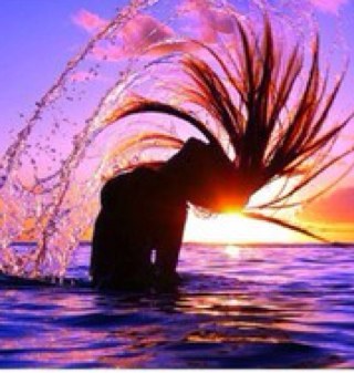 We're @a_random_dolphinn_ from instagram! Follow us and we'll follow back:)