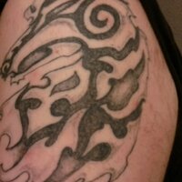 Aaron M. Fogleman (@a_m_fogleman) 's Twitter Profile