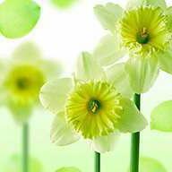 mariayery's profile picture. love music, love mayday, love life, love myself, and love you, my dear...