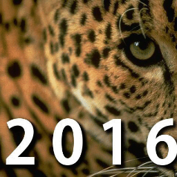 Official Twitter for MLEC's Alumni Class of 2016. Tweet us any questions and follow us for updates!
