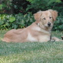 tina lowery - @t33nbean - Twitter