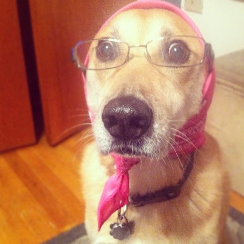 DonWardson's profile picture. 