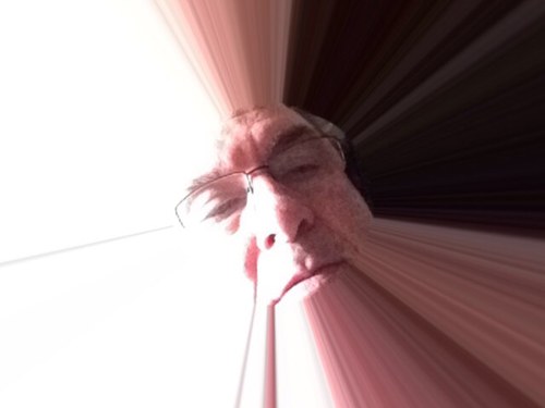 steven3837's profile picture. 