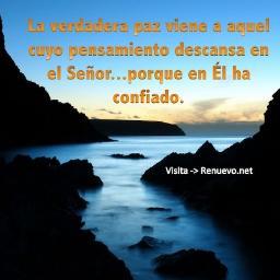 Cristiano, creyente en el TODOPODEROSO y Dios Eterno JESUCRISTO, Rey de reyes y Señor de señores, a Quien sea gloria y honra sempiterna.