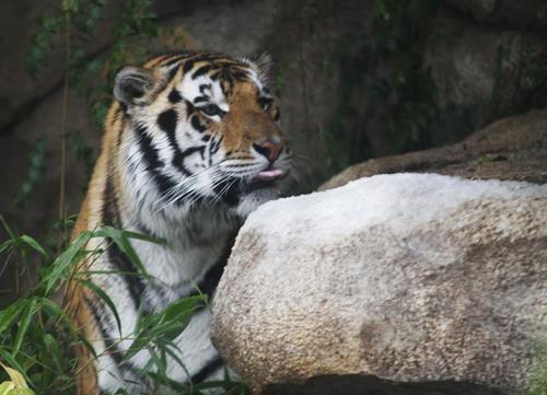 LDD010's profile picture. 