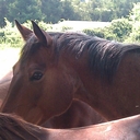 Brian Brooke - @Soxbucket - Twitter