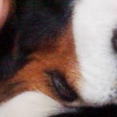 leitian163's profile picture. 