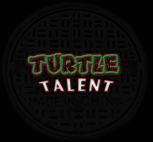 TurtleTalent's profile picture. 