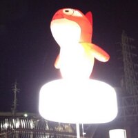 scotty (@mars5314) 's Twitter Profile