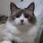 bloom_mari's profile image