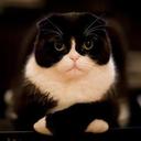 bailey_berger - @baileyberger9 - Twitter