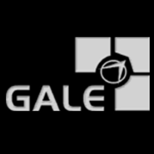 Somos Gale contructora, líderes en contrucción en el sureste de México; reconocidos por nuestros estandares técnicos, estéticos, funcionales y calidad.