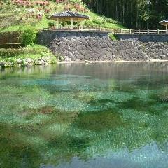 霧島連山の麓に住まいしています、生活環境は自然がいっぱい、空気はおいしく水は霧島連山高地に降った雨が約35年かけて湧き出す麓湧水池近くです、安全で美味しい米の産地でもあります、趣味の散歩の時は、MP3プレーヤーに落語やクラッシック音楽を取り込んで楽しんでいます。