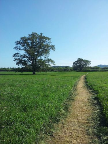 dakenjune20's profile picture. 戦略性・学習欲・アレンジ・個別化・収集心を強みとした公僕🙈🙉🙊適時性、先行性、並行性及び完全性を保持した業務を日々指導されています🪖現在、行動経済学を勉強中📚NISA・iDeCo始めました💰海外勤務希望🌏