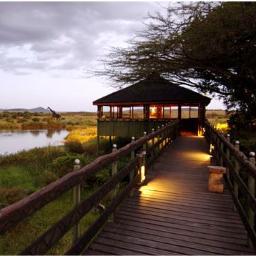 Bushblazers's profile picture. Air Ticketing - Local & international - Honeymoon - Family Holiday Conference Logistics - Hotel Bookings-Safari Packaging - Ground Transport/Airport Transfers.