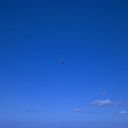 Robyn Baldwin - @b10_d - Twitter