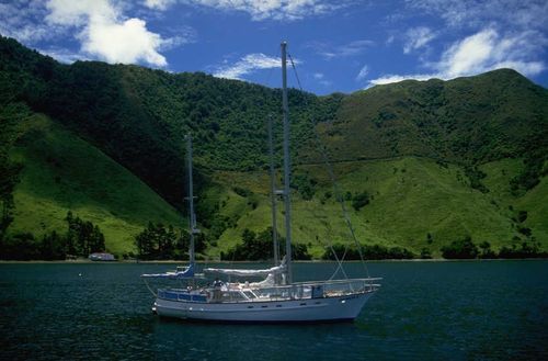 CynthiaCPinto's profile picture. 