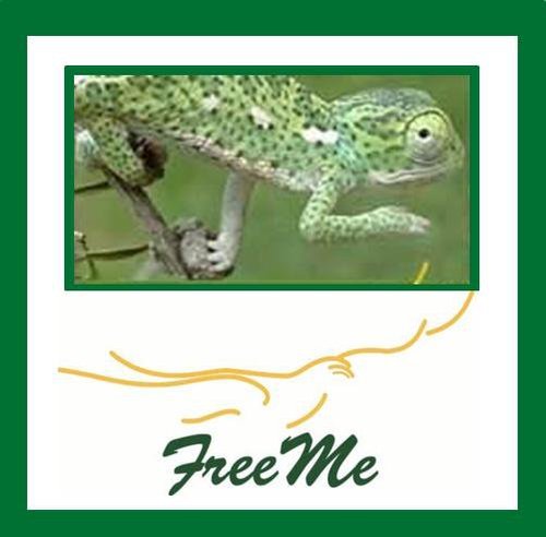 Rescue, Rehabilitate and Release ... FreeMe is a rehabilitation centre for indigenous wildlife based in the north of Johannesburg, South Africa.
