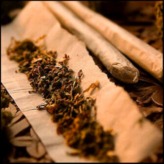 I'm Single And You're Welcome To Change That ... :) PIN:2992E1EC